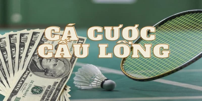 Vì sao nên chơi Cá Cược Cầu Lông